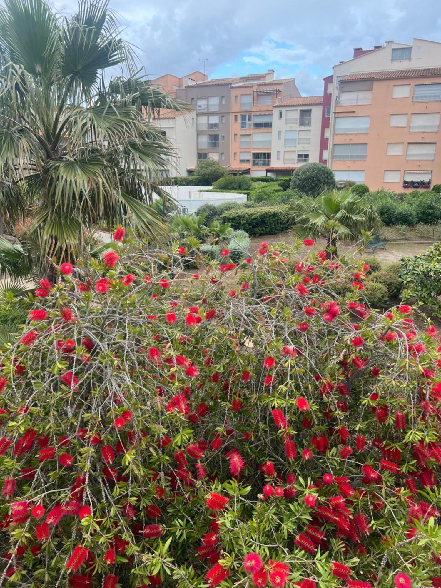 Residence Le Pharo Agde Ngoại thất bức ảnh